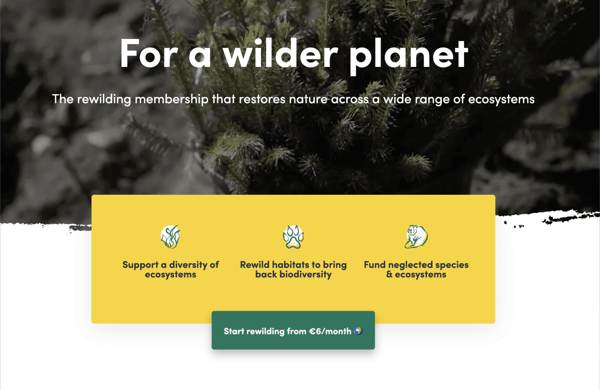 Highlight UI preview